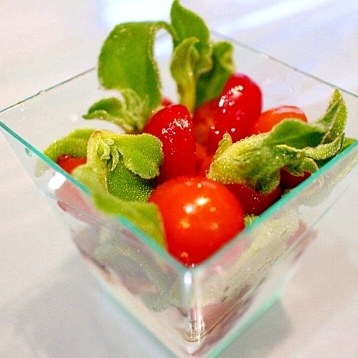 【簡単】ミニトマトとアイスプラントのグラスサラダ